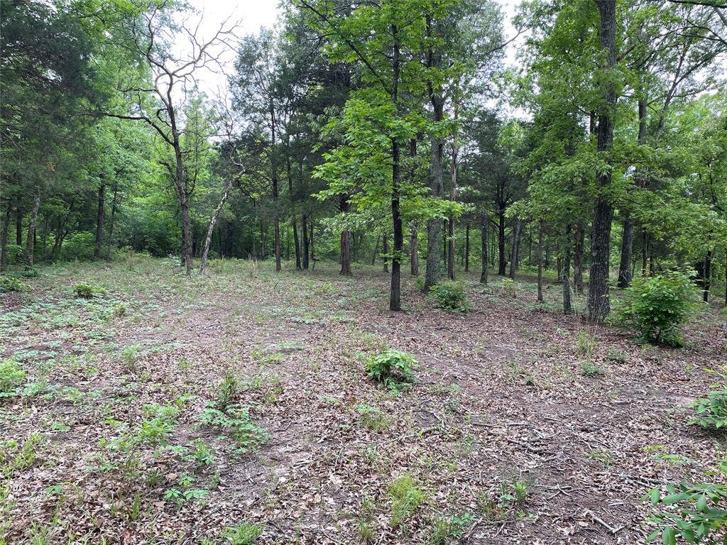 TBD Valle Vista Road, Athens, TX 75751 TBD Valle Vista Road, Athens, TX 75751