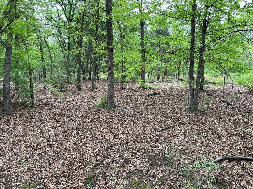TBD Valle Vista Road, Athens, TX 75751 TBD Valle Vista Road, Athens, TX 75751