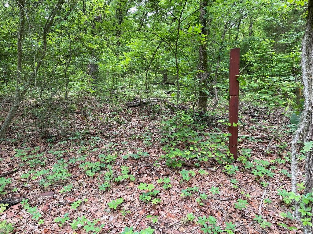 TBD Valle Vista Road, Athens, TX 75751 TBD Valle Vista Road, Athens, TX 75751