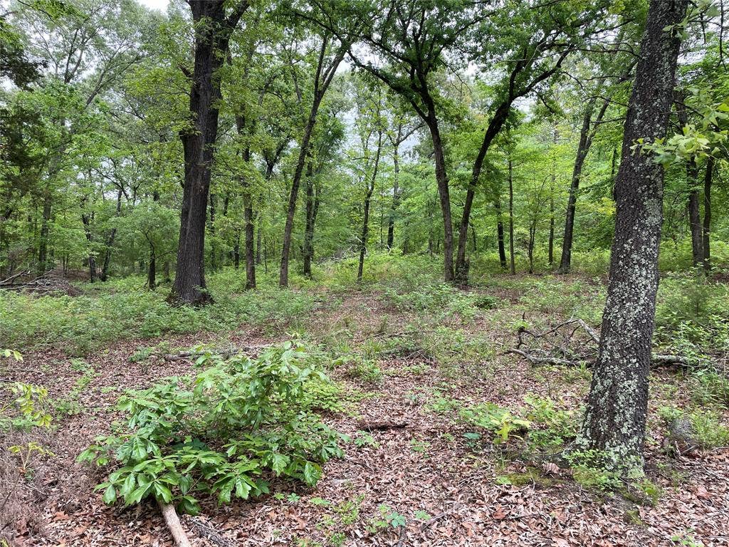 TBD Valle Vista Road, Athens, TX 75751 TBD Valle Vista Road, Athens, TX 75751