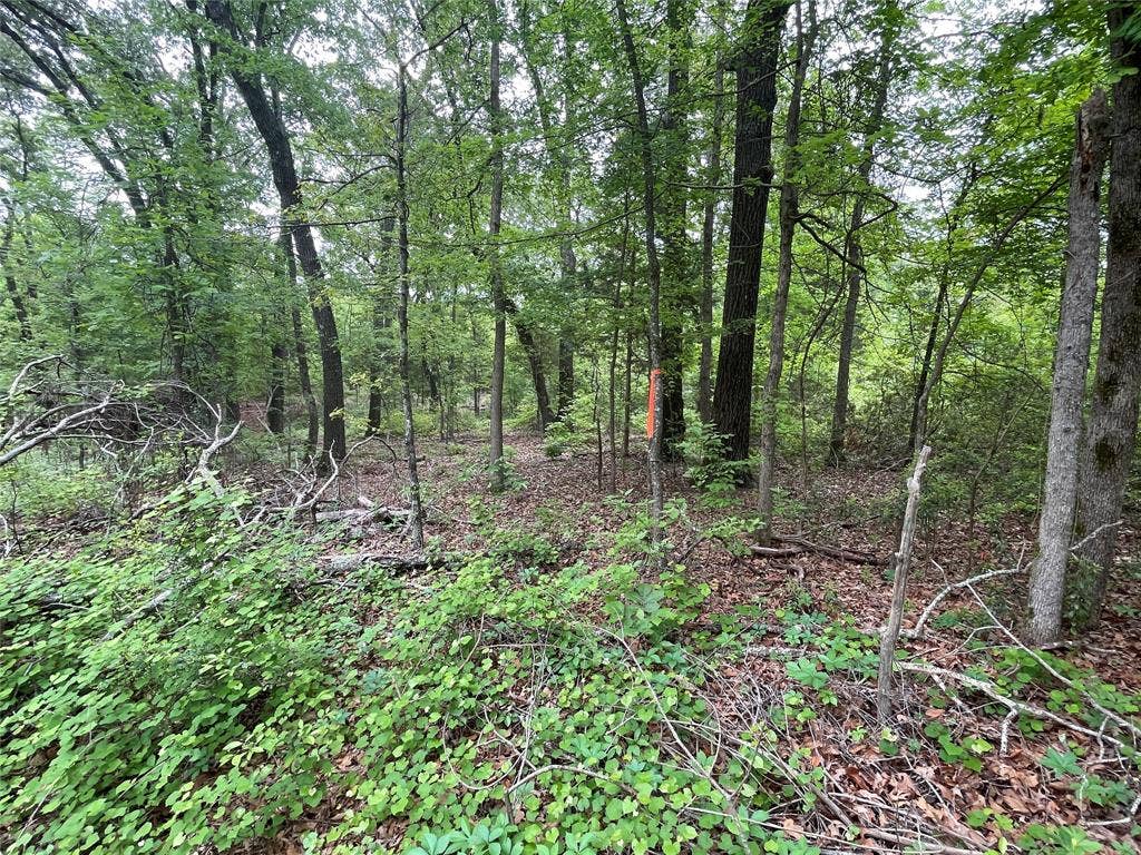 TBD Valle Vista Road, Athens, TX 75751 TBD Valle Vista Road, Athens, TX 75751