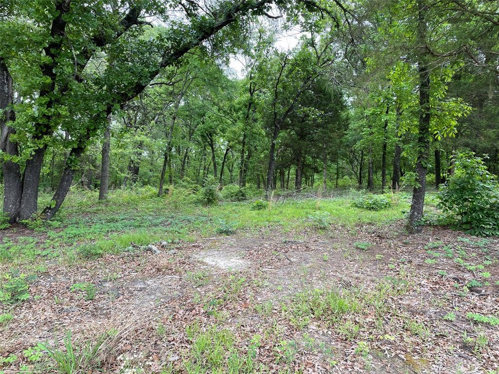 TBD Valle Vista Road, Athens, TX 75751 TBD Valle Vista Road, Athens, TX 75751