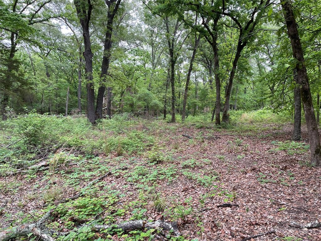 TBD Valle Vista Road, Athens, TX 75751 TBD Valle Vista Road, Athens, TX 75751