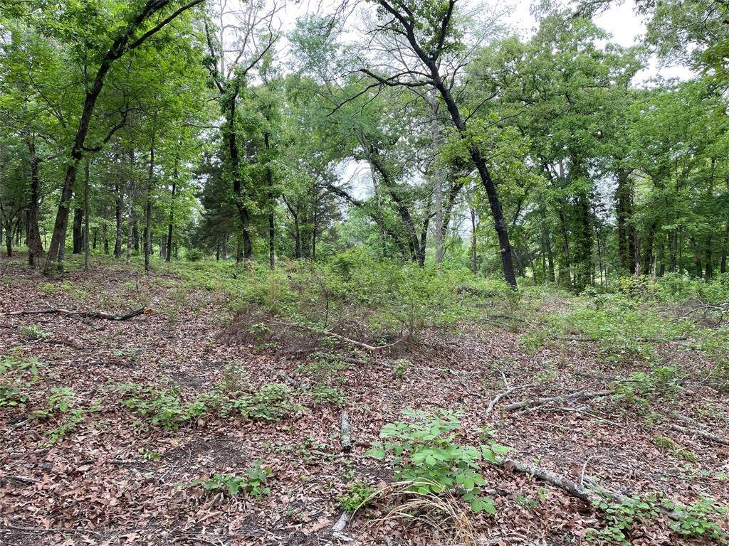 TBD Valle Vista Road, Athens, TX 75751 TBD Valle Vista Road, Athens, TX 75751