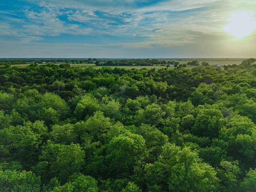 Property photo for TBD Tract 1 Willow Grove Road, Woodway, TX