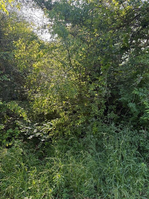 Property photo for 10946 Clover Lane, Berryville, TX