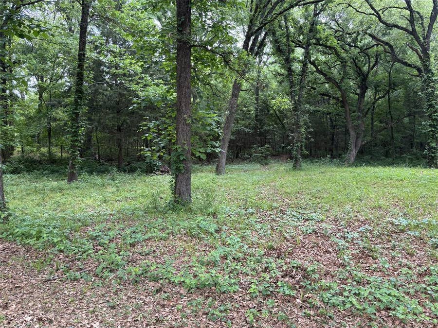 Property photo for TBD Torama Street, Quinlan, TX