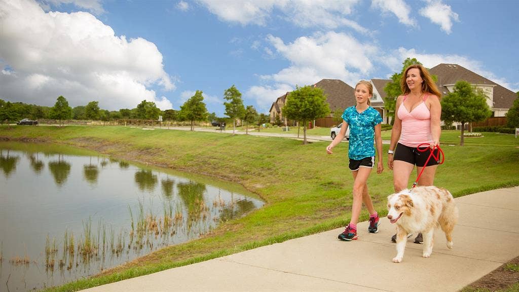 1931 Benedetto Way, McLendon Chisholm, TX 75032 1931 Benedetto Way, McLendon Chisholm, TX 75032
