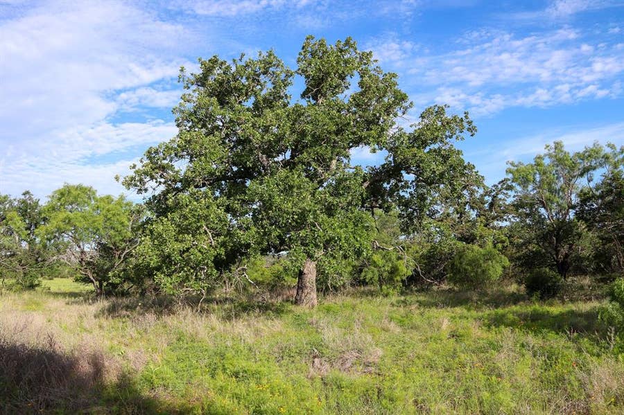 Property photo for TBD Oak Ridge Tr, Kingsland, TX