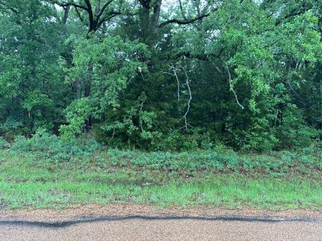 Property photo for 111 Double Bridge Road, Mabank, TX