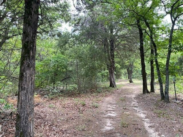 7601 CR 3700, Murchison, TX 75778