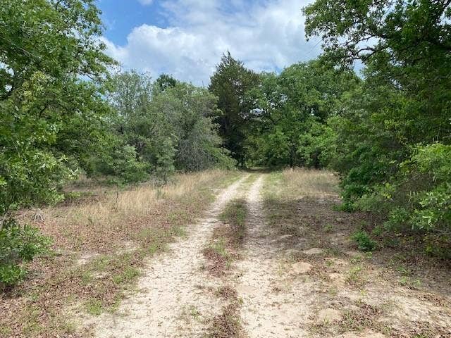 7601 CR 3700, Murchison, TX 75778