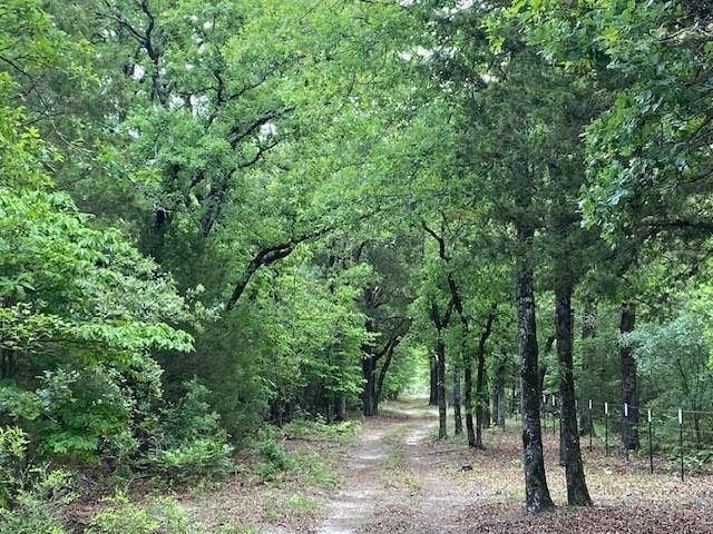 7601 CR 3700, Murchison, TX 75778