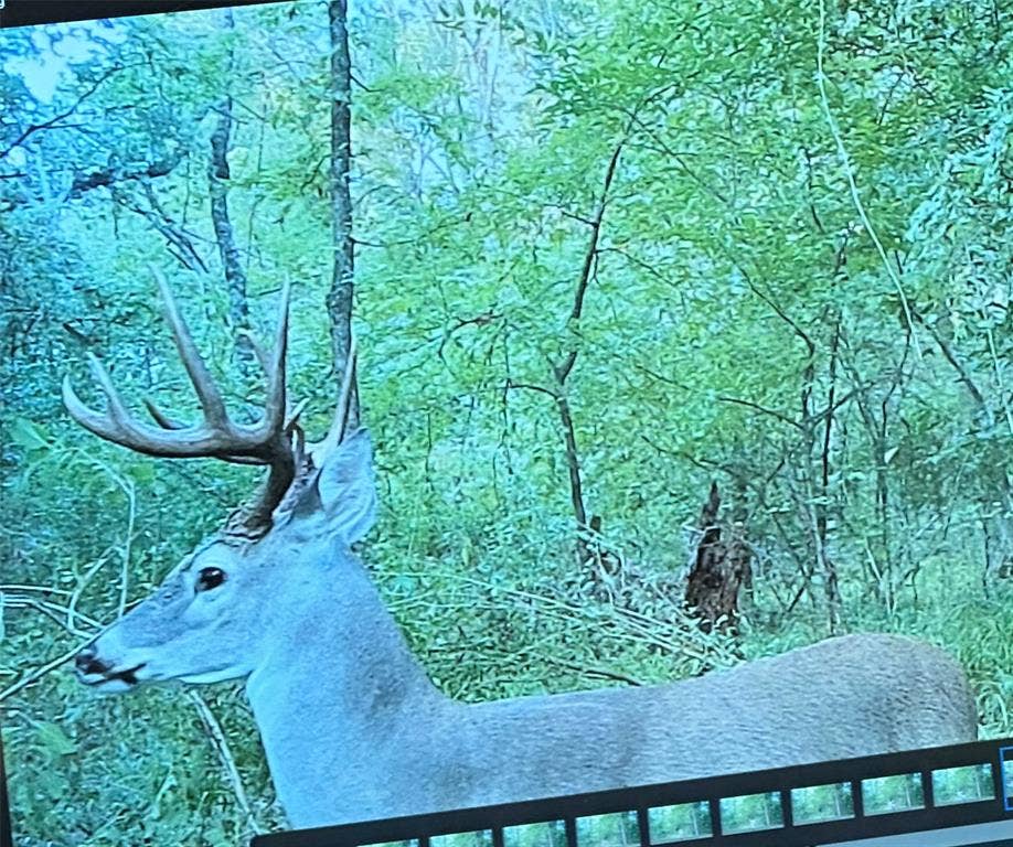 7600 County Road 1500, Athens, TX 75751 Buck Dec 2025