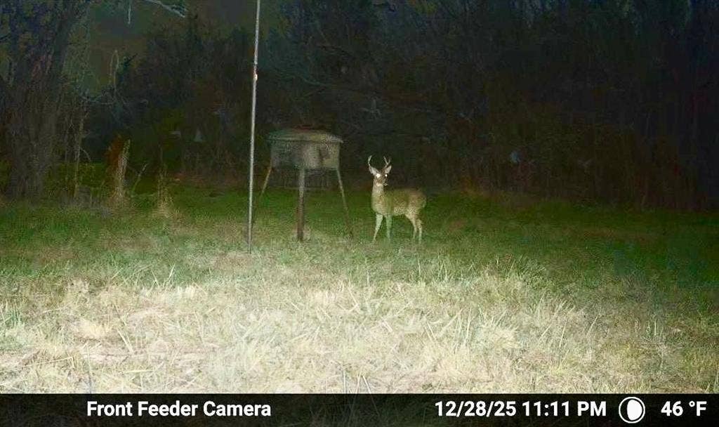 7600 County Road 1500, Athens, TX 75751 Buck