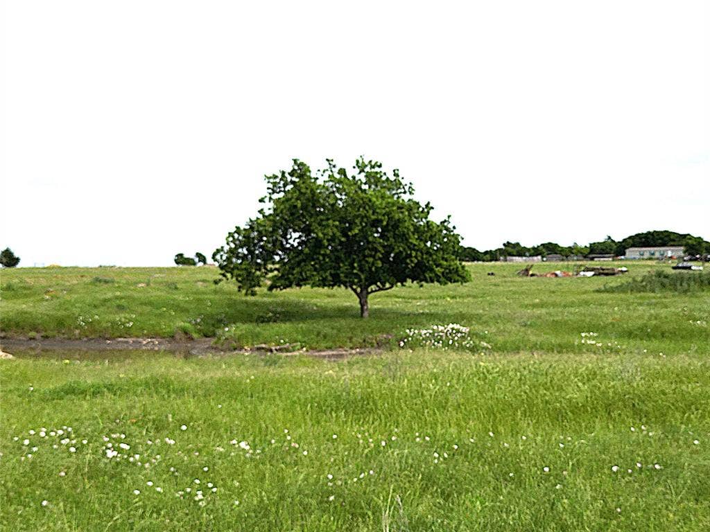 0000 Pruett Road, Krum, TX 76249 0000 Pruett Road, Krum, TX 76249