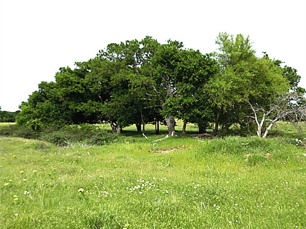 0000 Pruett Road, Krum, TX 76249 0000 Pruett Road, Krum, TX 76249