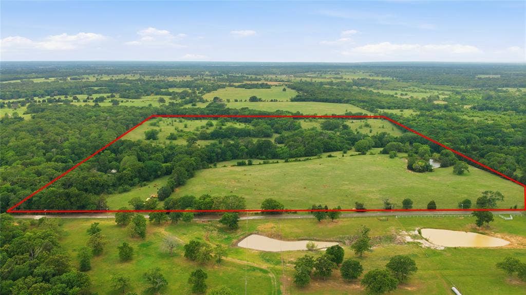 11222 County Road 1201, Malakoff, TX 75148 Approx. Boundary Lines
