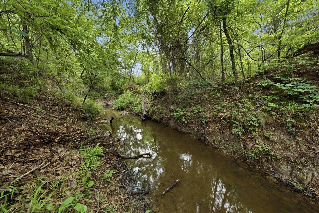 11222 County Road 1201, Malakoff, TX 75148 Creek
