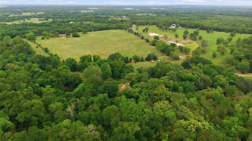 11222 County Road 1201, Malakoff, TX 75148 Full Property View
