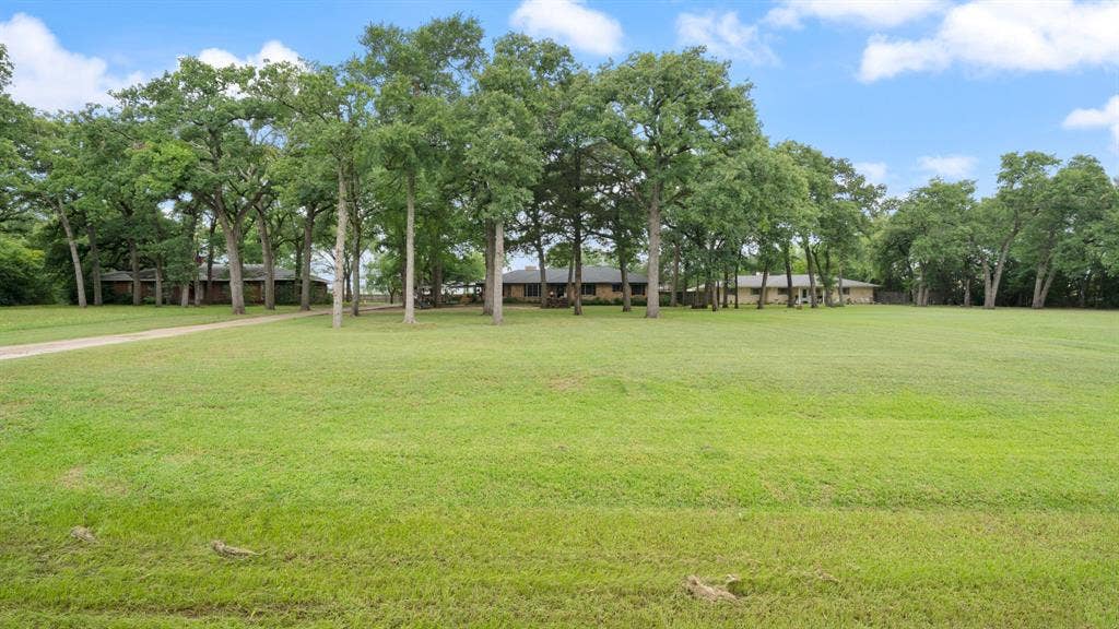 313 Shadywood Lane, Seagoville, TX 75159 Mature trees