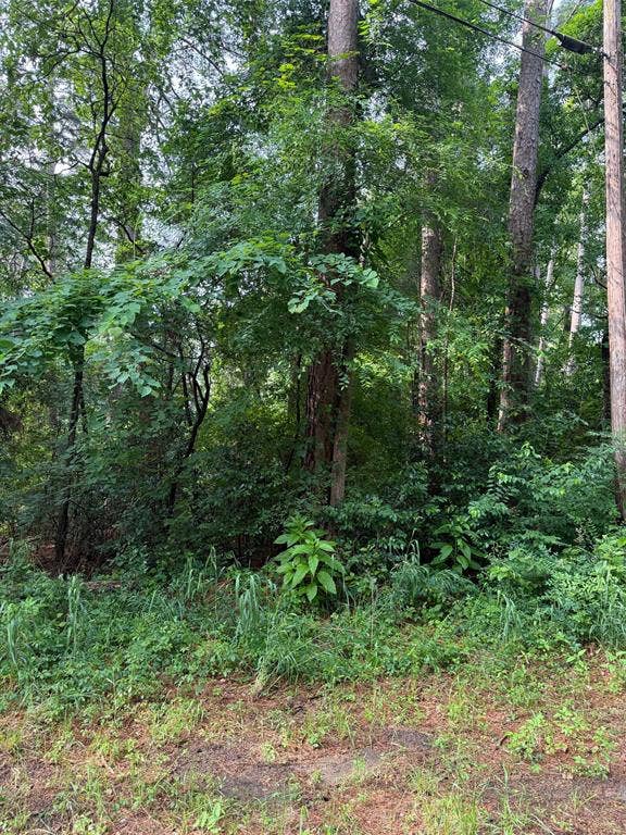 Property photo for 23575 Three Points Drive, Frankston, TX