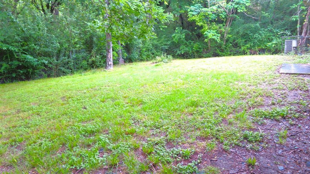 6525 Palm Island Street, Dallas, TX 75241 Grassy yard area with mature trees and dense natural landscaping bordering the property