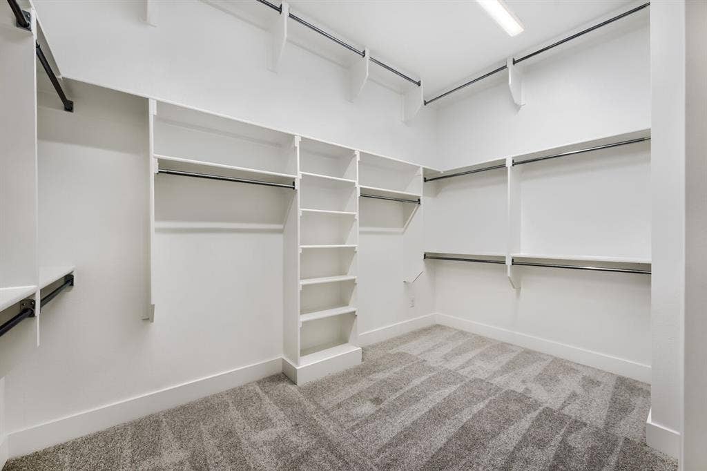 Spacious walk-in closet featuring white built-in shelving, multiple hanging rods, and gray patterned carpet flooring