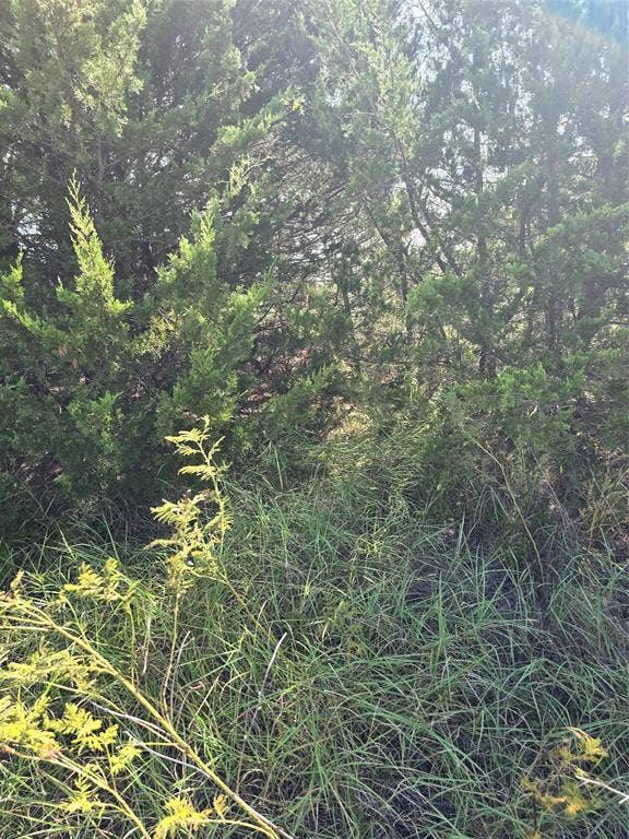 Property photo for 3694 County Road 1103, Celeste, TX
