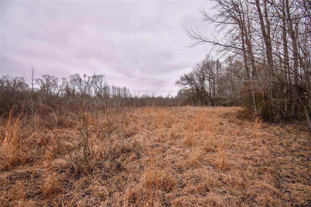 TBD PR 8903, Athens, TX 75752 TBD PR 8903, Athens, TX 75752