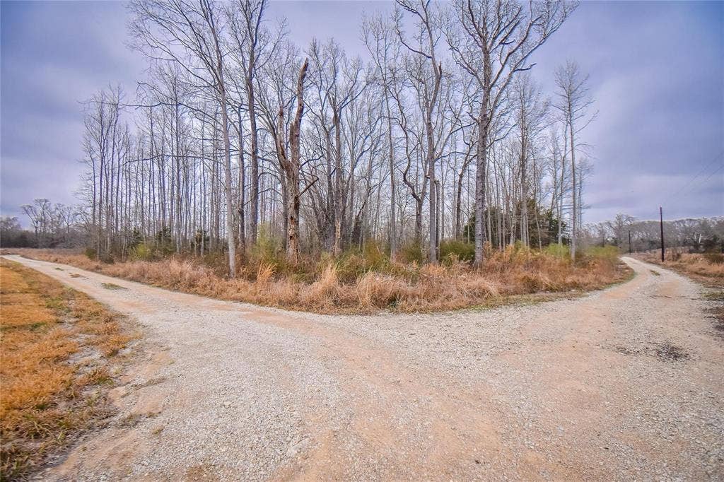 TBD PR 8903, Athens, TX 75752 TBD PR 8903, Athens, TX 75752