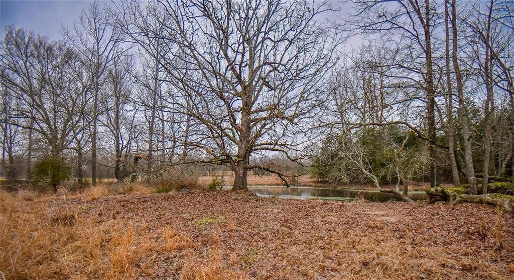 TBD PR 8903, Athens, TX 75752 TBD PR 8903, Athens, TX 75752