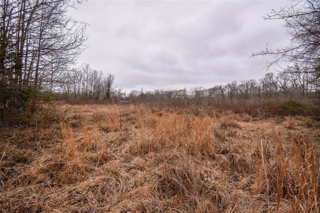 TBD PR 8903, Athens, TX 75752 TBD PR 8903, Athens, TX 75752