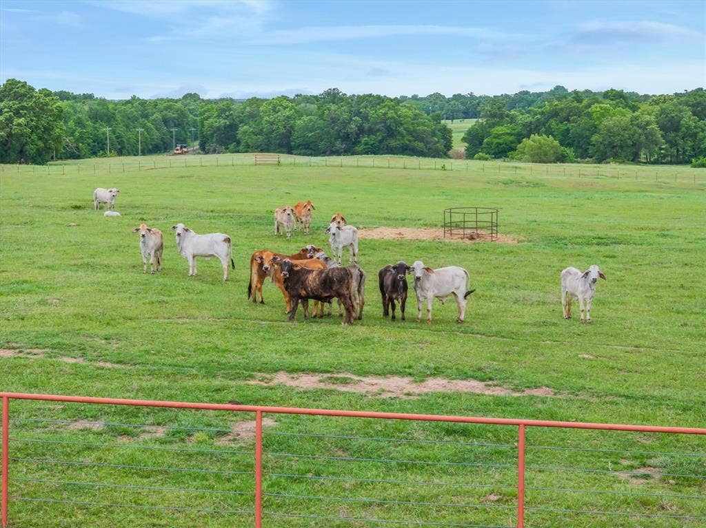 10266 County Road 1200, Athens, TX 75751 10266 County Road 1200, Athens, TX 75751