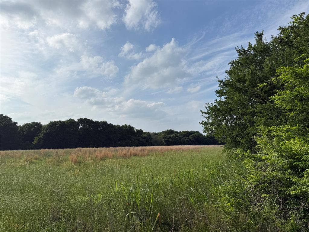 LOT 1 County Road 4072, Kemp, TX 75143 LOT 1 County Road 4072, Kemp, TX 75143