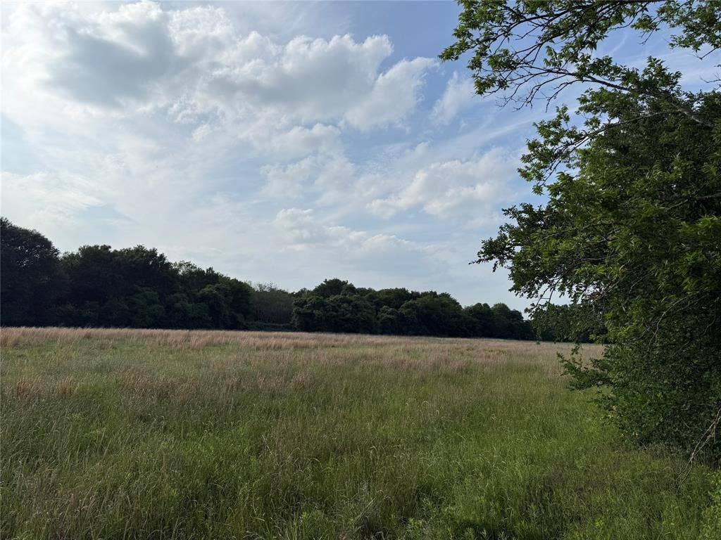 LOT 1 County Road 4072, Kemp, TX 75143 LOT 1 County Road 4072, Kemp, TX 75143