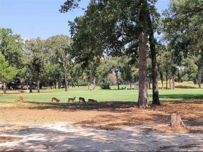 203 Saint Andrews Drive, Mabank, TX 75156 Expansive green space with mature trees, a manicured lawn, and natural surroundings