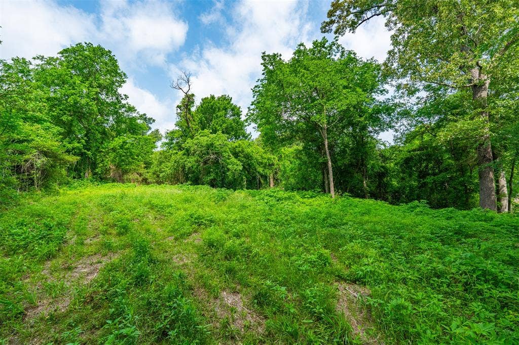 855 N Prairieville Street, Athens, TX 75751 855 N Prairieville Street, Athens, TX 75751