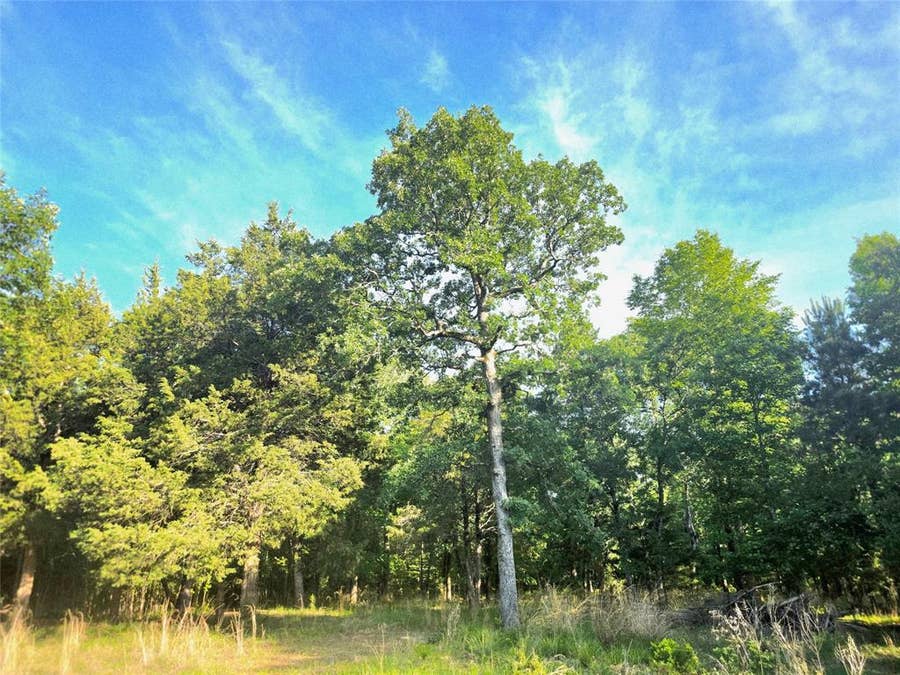 Property photo for Lot 377 Timber Ridge, Larue, TX