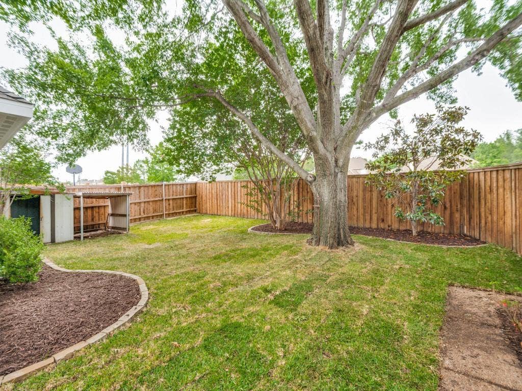 4312 Avonshire Lane, Plano, TX 75093 Spacious backyard featuring a substantial mature tree
