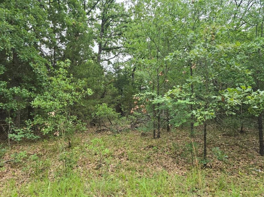 Property photo for Lot 1007 Kickapoo Trail, Mabank, TX