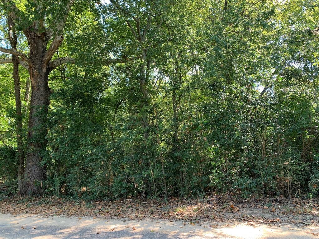 516 Chase Street, Athens, TX 75751 516 Chase Street, Athens, TX 75751