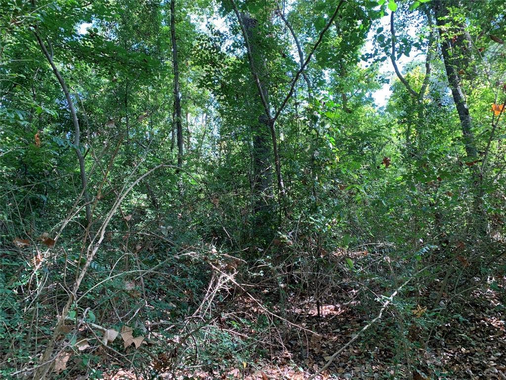 516 Chase Street, Athens, TX 75751 516 Chase Street, Athens, TX 75751
