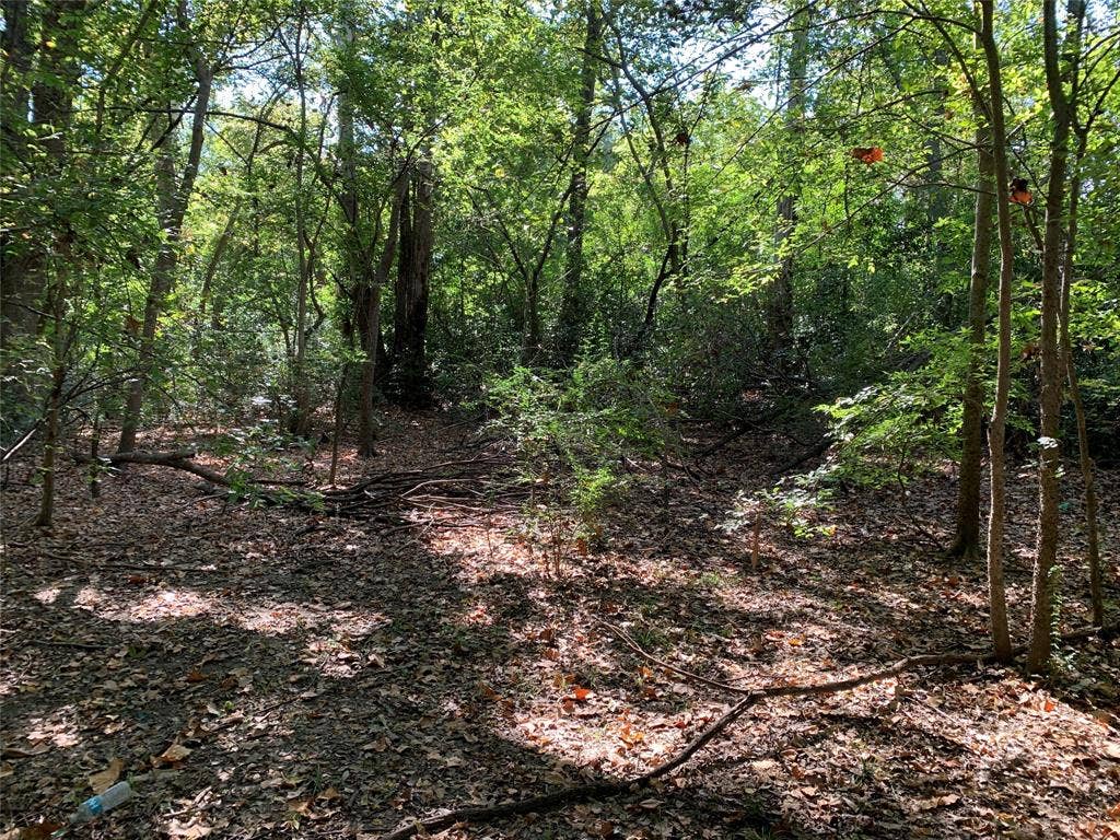 516 Chase Street, Athens, TX 75751 516 Chase Street, Athens, TX 75751