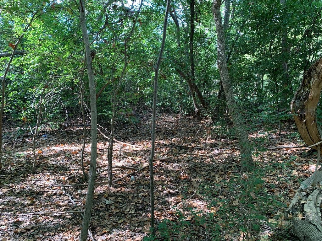 516 Chase Street, Athens, TX 75751 516 Chase Street, Athens, TX 75751
