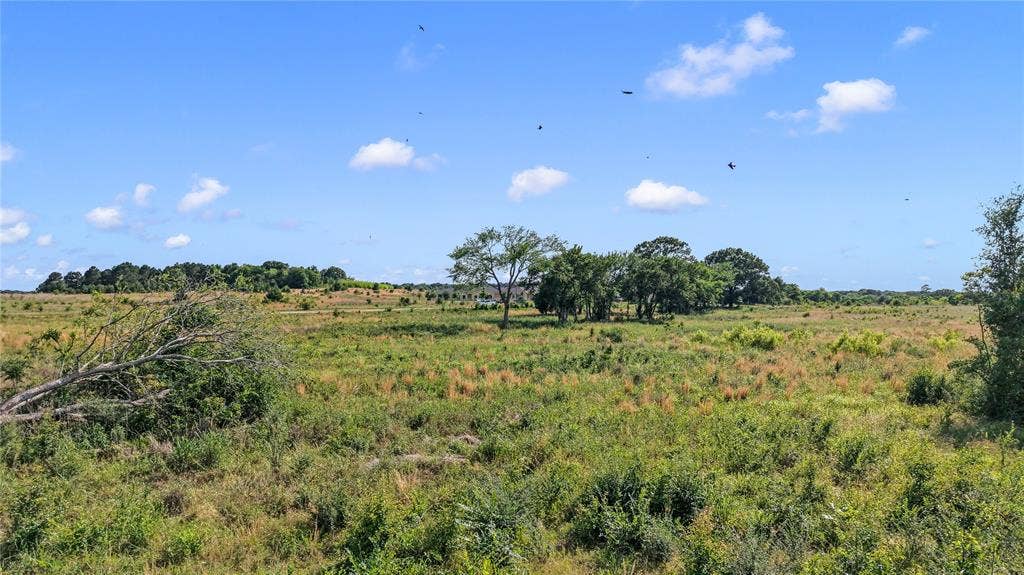120 Commons Drive, Athens, TX 75751 View from the corner of Loop 7 and SH 19 South