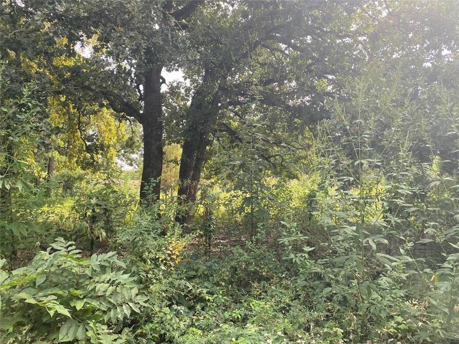 Property photo for TBD LOT 4 AND 5 GOLDWATER, Kemp, TX