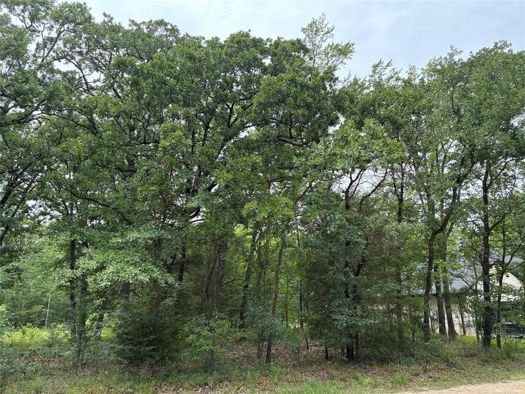 TBD Drift Wood Drive, Trinidad, TX 75163 TBD Drift Wood Drive, Trinidad, TX 75163