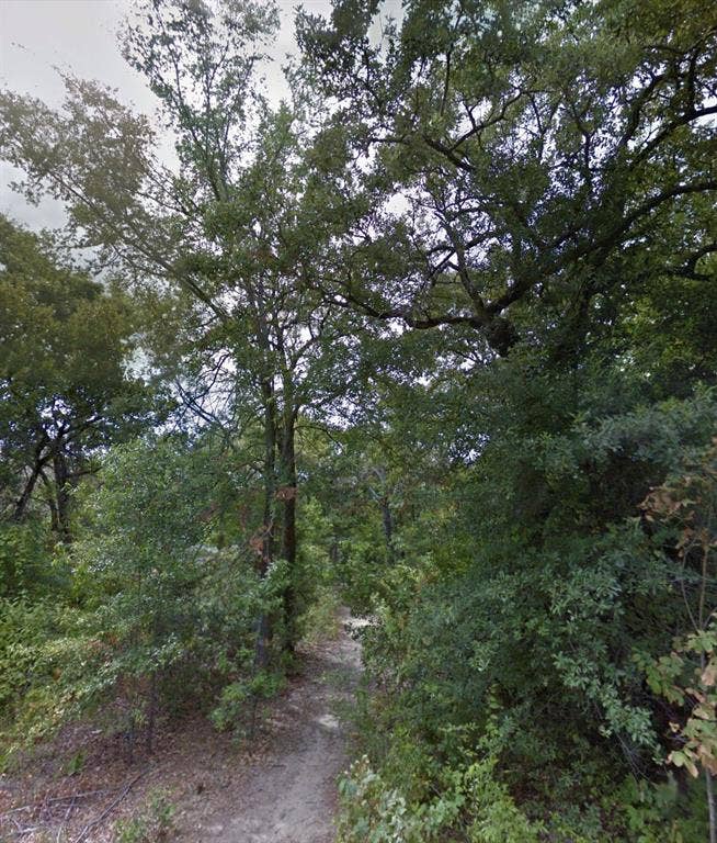 Property photo for 191 Coahoma Street, Mabank, TX