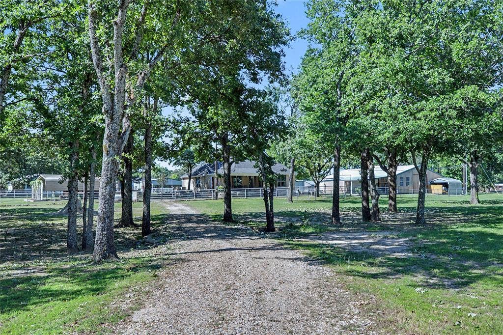 101 Friendship Circle, West Tawakoni, TX 75474 Gravel drive bordered by mature trees and manicured lawn